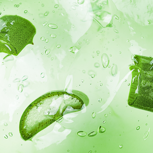 The Power of Aloe Vera: Why the best comes from the Canary Islands