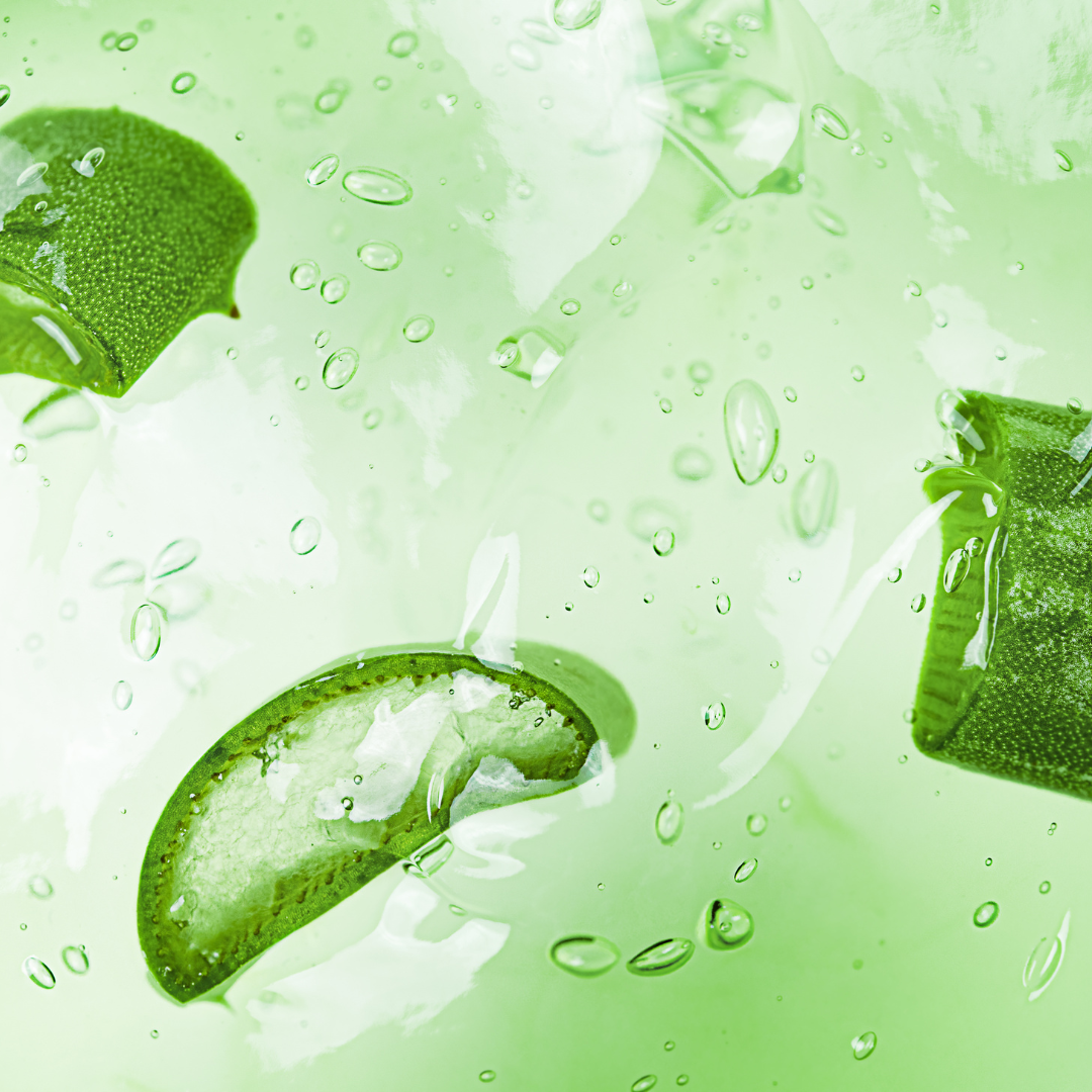 The Power of Aloe Vera: Why the best comes from the Canary Islands