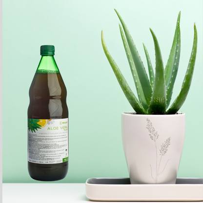 Aloe Vera Plus