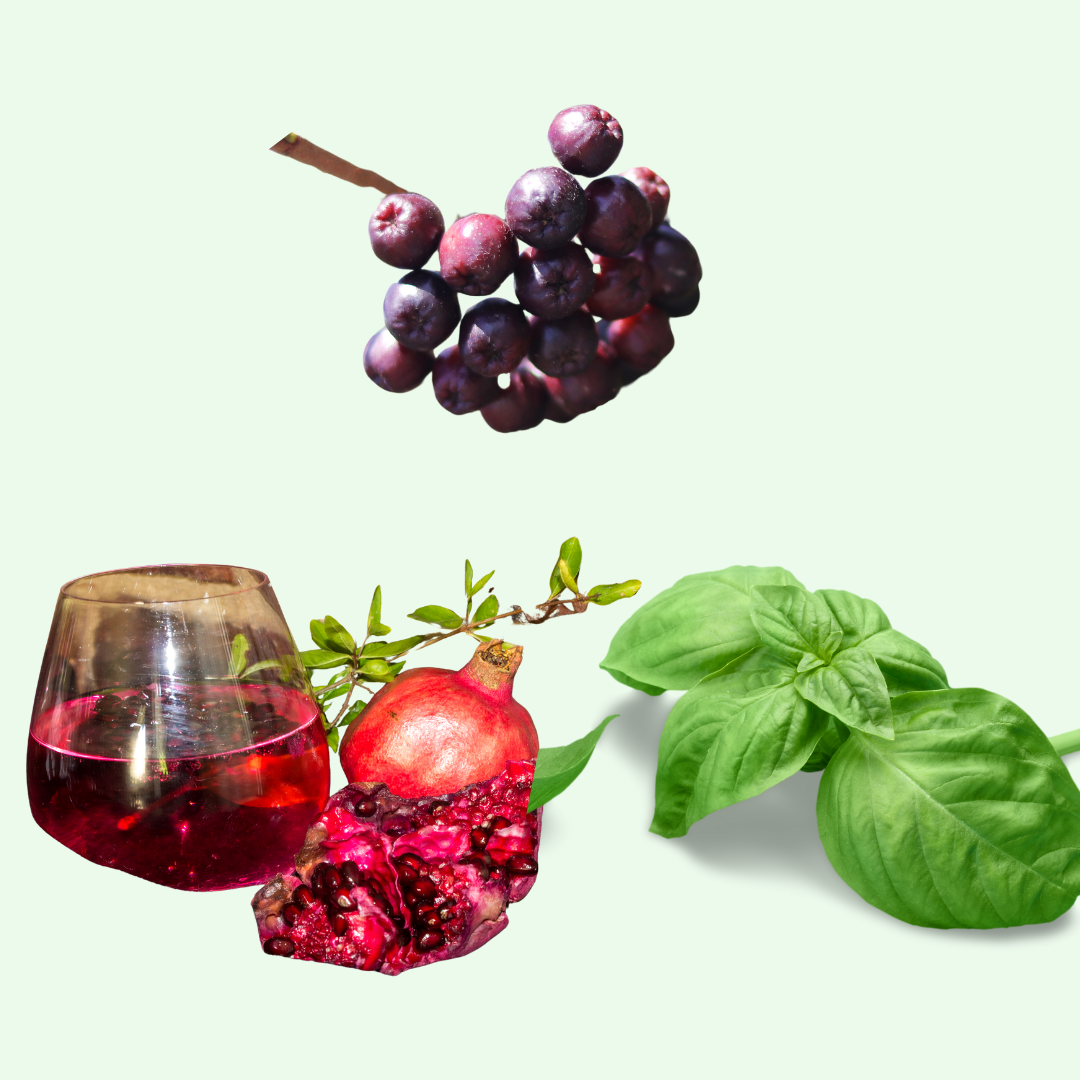 TRÉ  Food Supplement - Liquid Nutritional Essence - 750mls