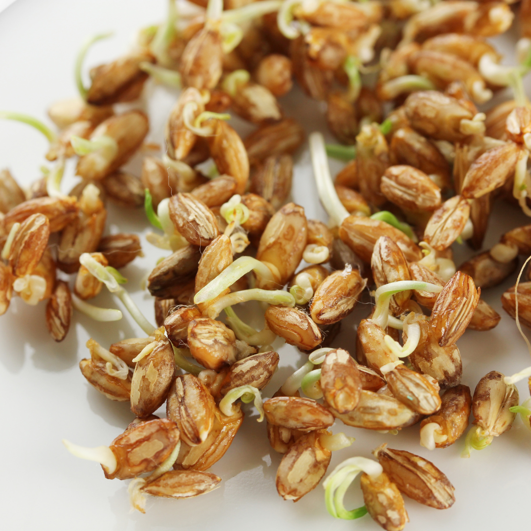 Wheat Germ Oil with Vitamin E